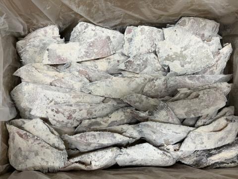 �y���������z�J���C���g���@��80g�@90��/��