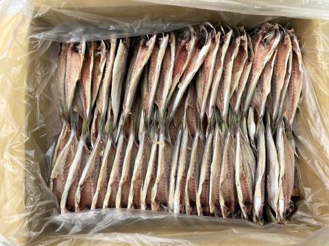 �y���������z�����J���i�I�����_�Y�j�r�i40�`49���j5kg�@2��