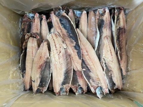 �y���������z���V�A�Y�ɂ���t�B���i�󂠂�j