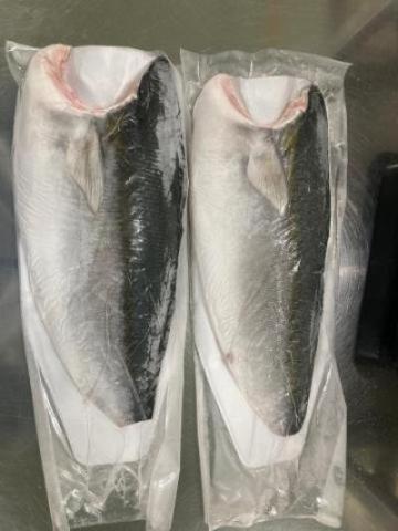 �y���������z�{�B�u���@�t�B���^��750-1500g�i���M�p�j