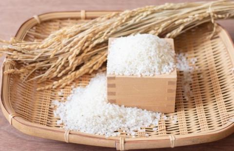 �y���������z�ߘa7�N�Y�@����   ���Ɍ��Y�@���ʂނ���   ��������