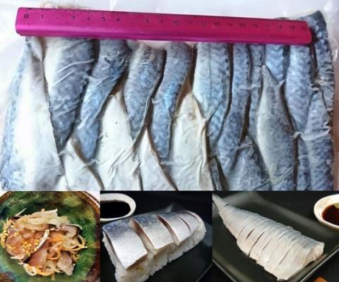 �y���������z���Y�@�Y����