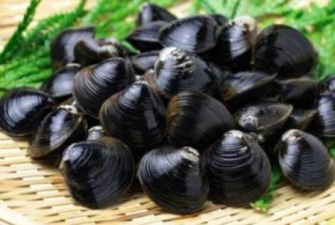 �y���������z�Ⓚ�@�]�ˑO�����݁@��200�`300��/kg