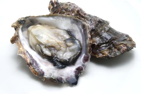 【送料無料】広島県産　冷凍殻付かき　2Lサイズ　加熱用　《大口一括販売》