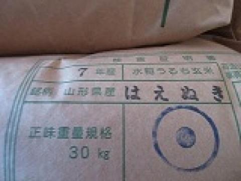 【送料無料】令和7年産　玄米　山形県産　はえぬき　1等米《大口一括販売》