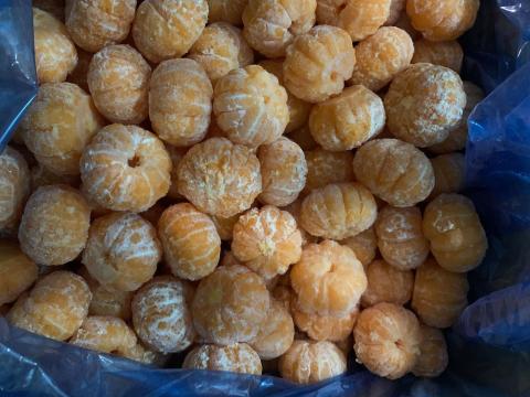 �y���������z�F�{���Y ���B�Ⓚ�݂��� �O��ނ�