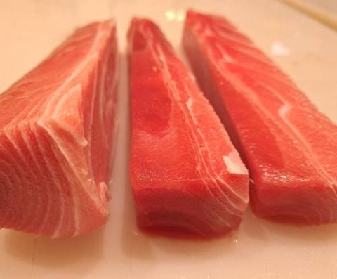 【送料無料】冷凍養殖本マグロ　中トロ冊　スジ強め