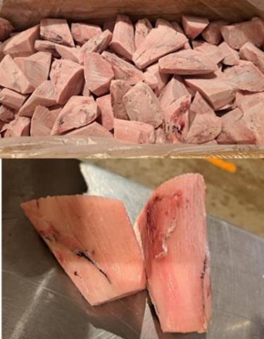 �y���������z�r���`���E�}�O���@�w�J�~�u���b�N�@���H�p