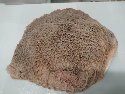 �y���������z���Y���@�n�`�m�X