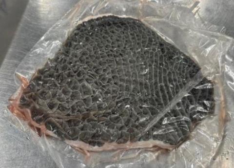 �y���������z���јa���n�`�m�X