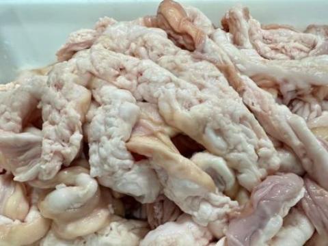 �y���������z���јa�������@���t��