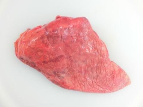 �y���������z���Y���t���i�x�j20����