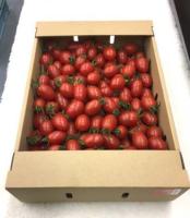 �y���������z�~�j�g�}�g�A�C�R�@�s�ԁt