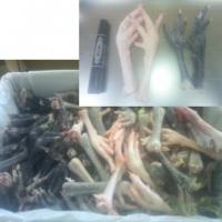 �y���������z�n�{�K���i���݂��j