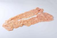 �y���������z���Y���̖Ӓ�