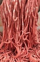 �y���������z���т��@�i���F6��/�؁F4���j 14kg