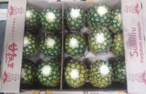 �y���������z�p�C���t���� 20��/15kg