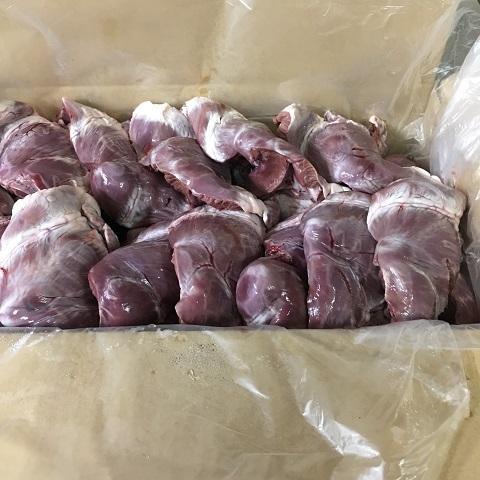 �y���������z���Y�؁@�S���@�o���N