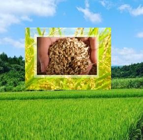 �y���������z�V��  �ߘa7�N�Y  ����  ��茧�Y  ���������܂�  �������q����r