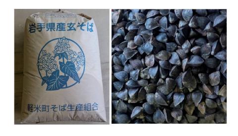 �y���������z�ߘa6�N�Y�@��茧�Y�@�����΁@�ꓙ�i �����Δ����ρj