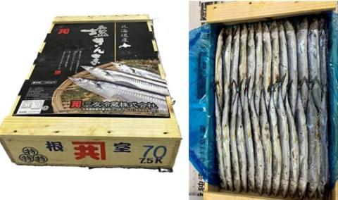 �y���������z�k�C���Y�@������܁@70���^7.5kg