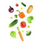 �X�܎ʐ^�E���S