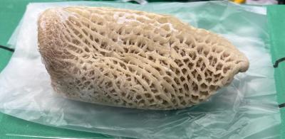 スペイン産　ハチノス　トマト煮の具　牛モツ煮の具に