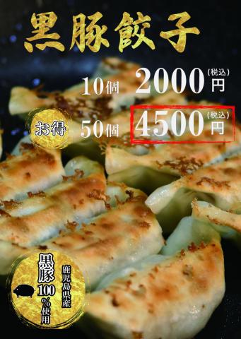 【送料無料】【鹿児島県産 ブランド黒豚100％】贅沢黒豚餃子10個