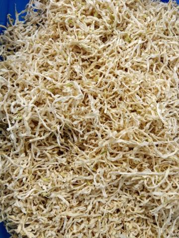 【送料無料】国産切り干し大根　10㎏入り ｘ 8