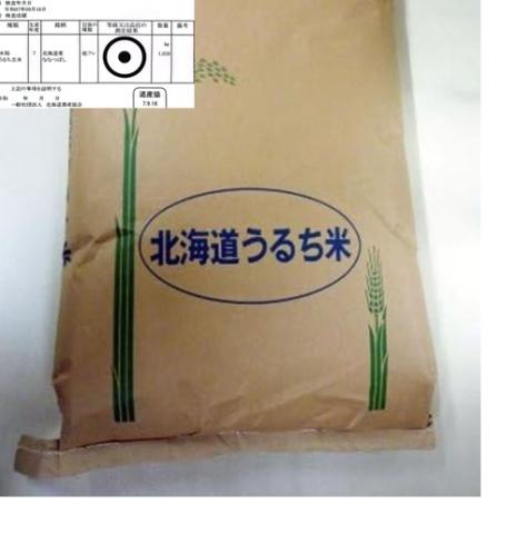 【送料無料】新米　令和7年産　玄米　北海道産　ななつぼし　一等
