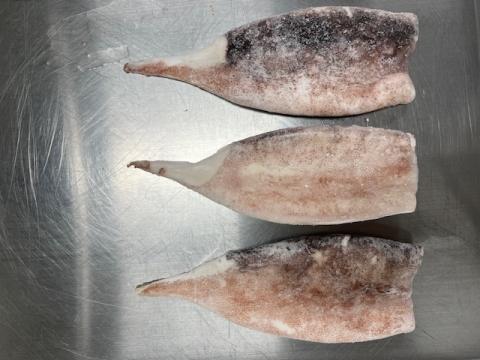 【送料無料】まついかつぼ抜き耳ナシ