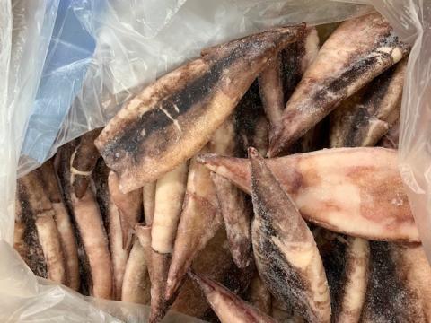 【送料無料】【国産】するめいかつぼ抜き