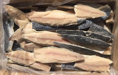 【送料無料】塩サバフィレ　折れ・キズ　5Kg×2合