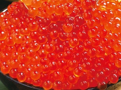 【送料無料】【極上新物！】いくら醤油漬け（マス子）　250ｇx14パック