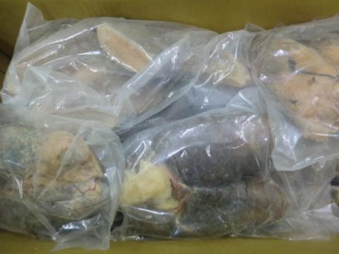 【送料無料】真たら子
