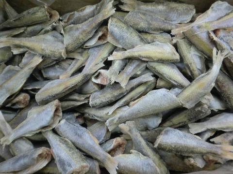 【送料無料】ムツドレス小