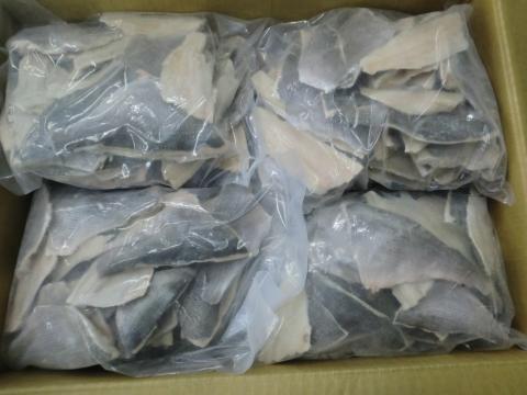 【送料無料】ウミタナゴフィレ