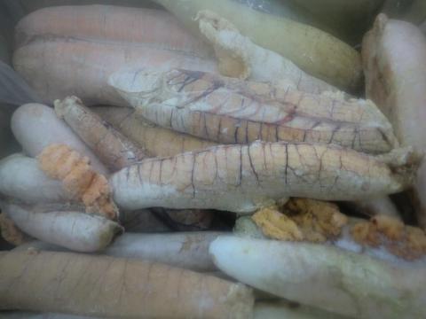 【送料無料】サワラ卵巣