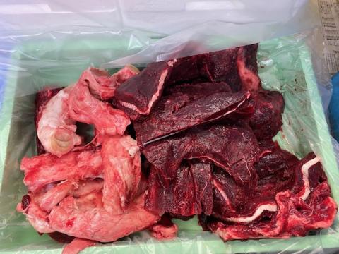【送料無料】ニタリ鯨　赤肉小切　切り落とし　筋あり　10㎏
