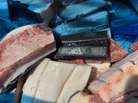 【送料無料】国産　ミンク鯨　生畝須　刺身可　8.8㎏