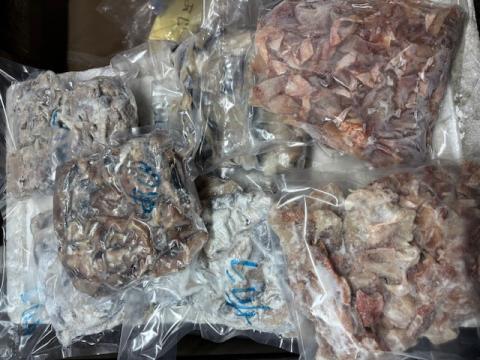 【送料無料】【1㎏ずつ真空】骨なし魚　端材　サバ、赤魚、アジ、ブリ、サワラ