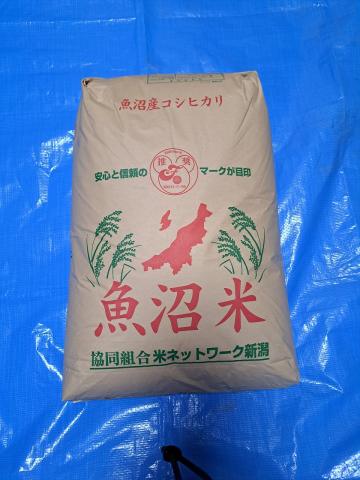 【送料無料】令和7年魚沼産　コシヒカリ　未検査米  　玄米30ｋｇ