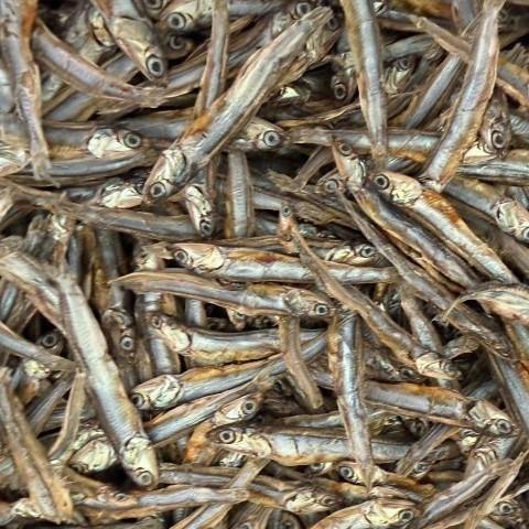 【送料無料】片口いわし素干し(田作り)