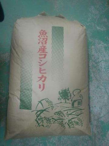 【送料無料】魚沼産こしひかり玄米令和5年産（未検査）