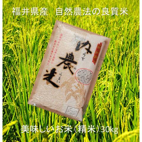 【送料無料】【新米】令和5年度　福井県産自然農法米　精米（10キロタイプ）