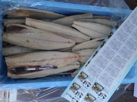 【送料無料】冷　塩さばフィーレ