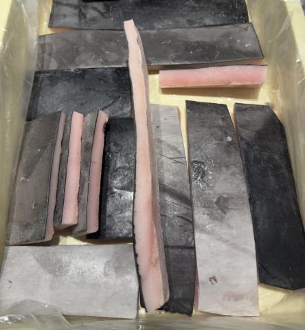 【送料無料】若いミンククジラの本皮 （薄）10kg