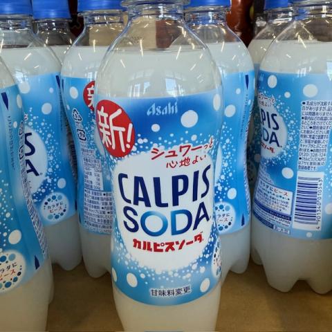 【送料無料】【アサヒ飲料】カルピスソーダ　500ml×48本 　※賞味２/末