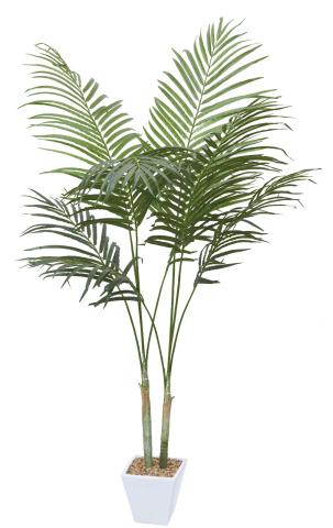 【送料無料】人工観葉植物　アレカパーム1.6m