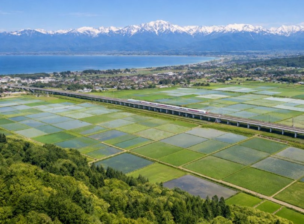 【令和６年産】業務用富山米/30kg(5kgx6袋)